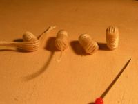 Moustique PICT7688-1024